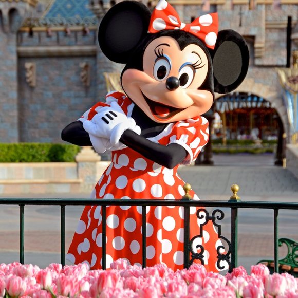 Meet your Posher, Kami - Picture 1 of 1